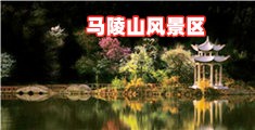 大鸡巴操逼操的喷水网站
